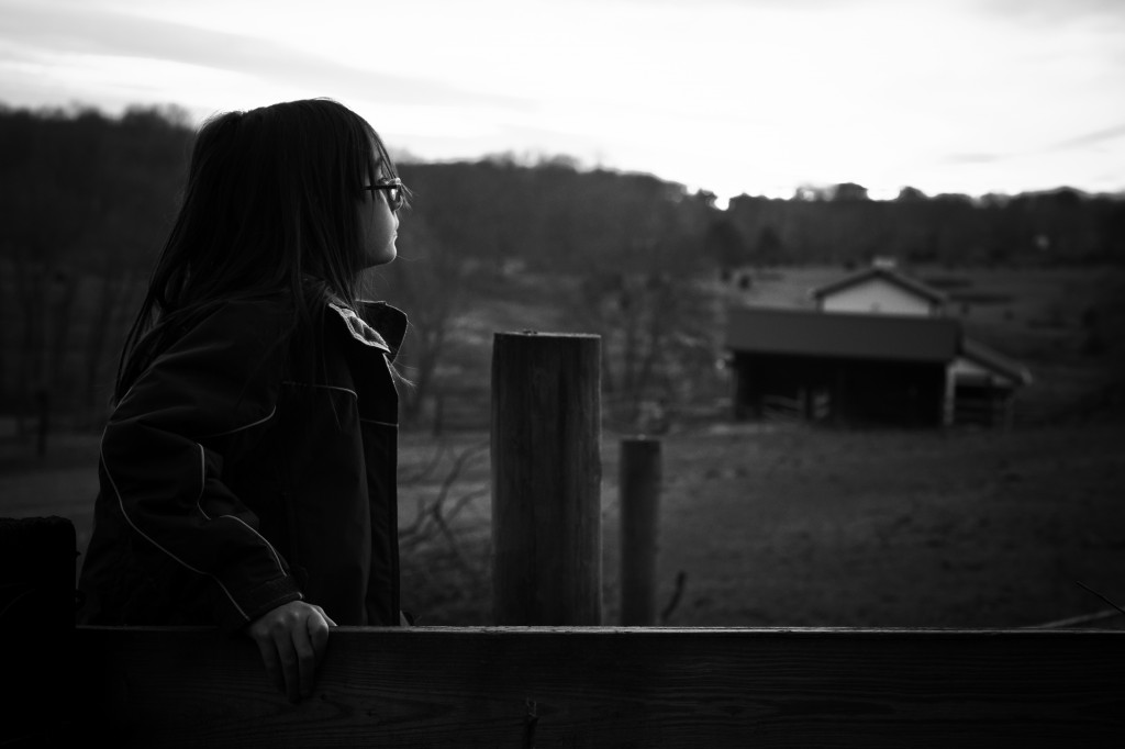 DSC_0036-2