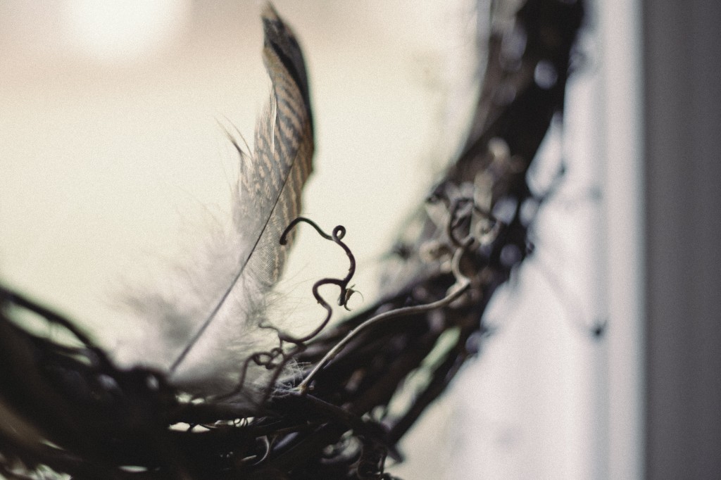 11_2013_feather