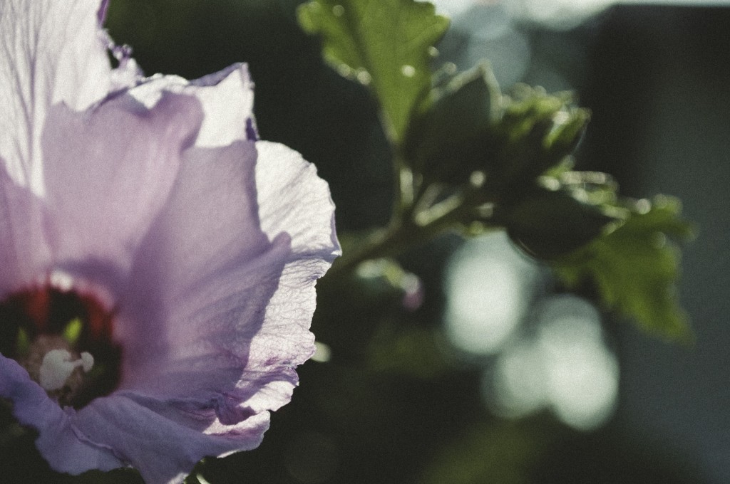 12_2013_39-26